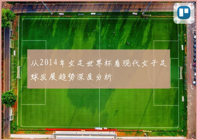 从2014年女足世界杯看现代女子足球发展趋势深度分析