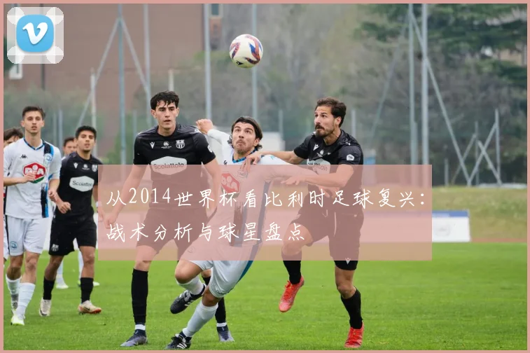 从2014世界杯看比利时足球复兴：战术分析与球星盘点