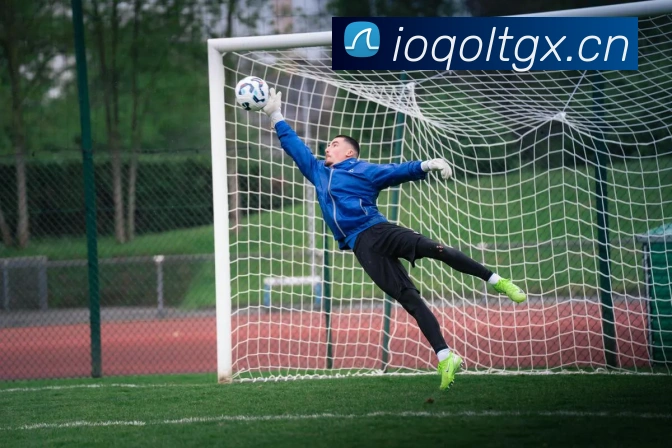 星空体育官方网页入口平台生态图